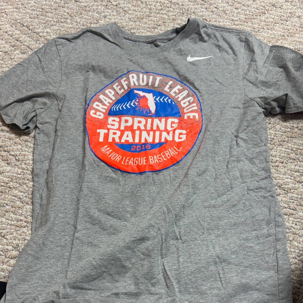 Nike Gray MLB baseball Grapefruit League Tee Yankees
